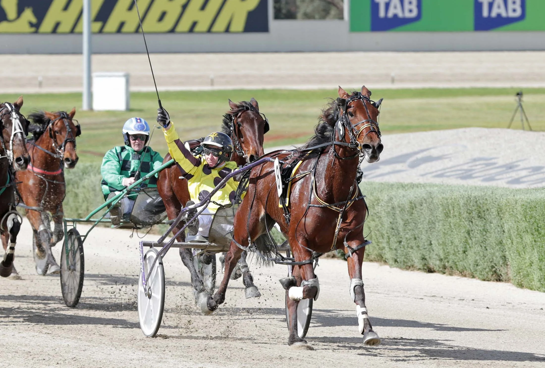 Image courtesy National Trotguide - Bruce enjoyed this win on Frith in the Breeders Crown 4YO Mares Final.