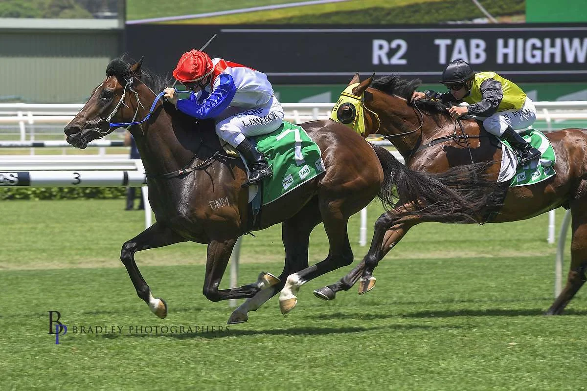 Image courtesy Bradley Photographers - Smart As and Linda Meech win the TAB Highway January 2019.