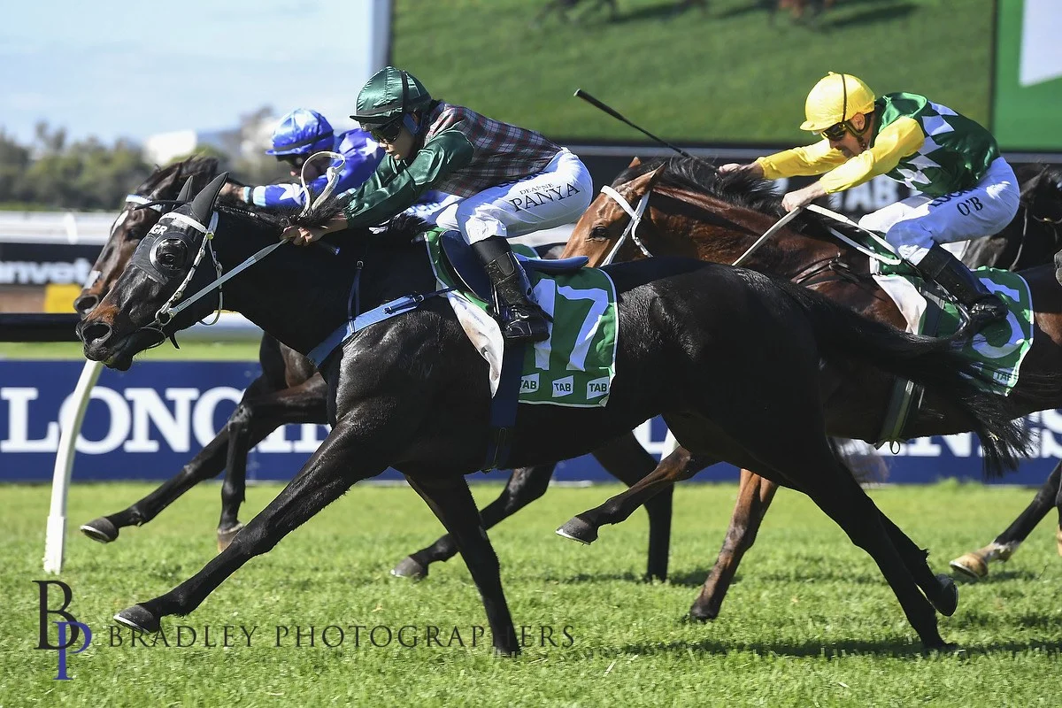 Image courtesy Bradley Photographers - Upper House and Deanne Panya winning the TAB Highway 15/06/2019.