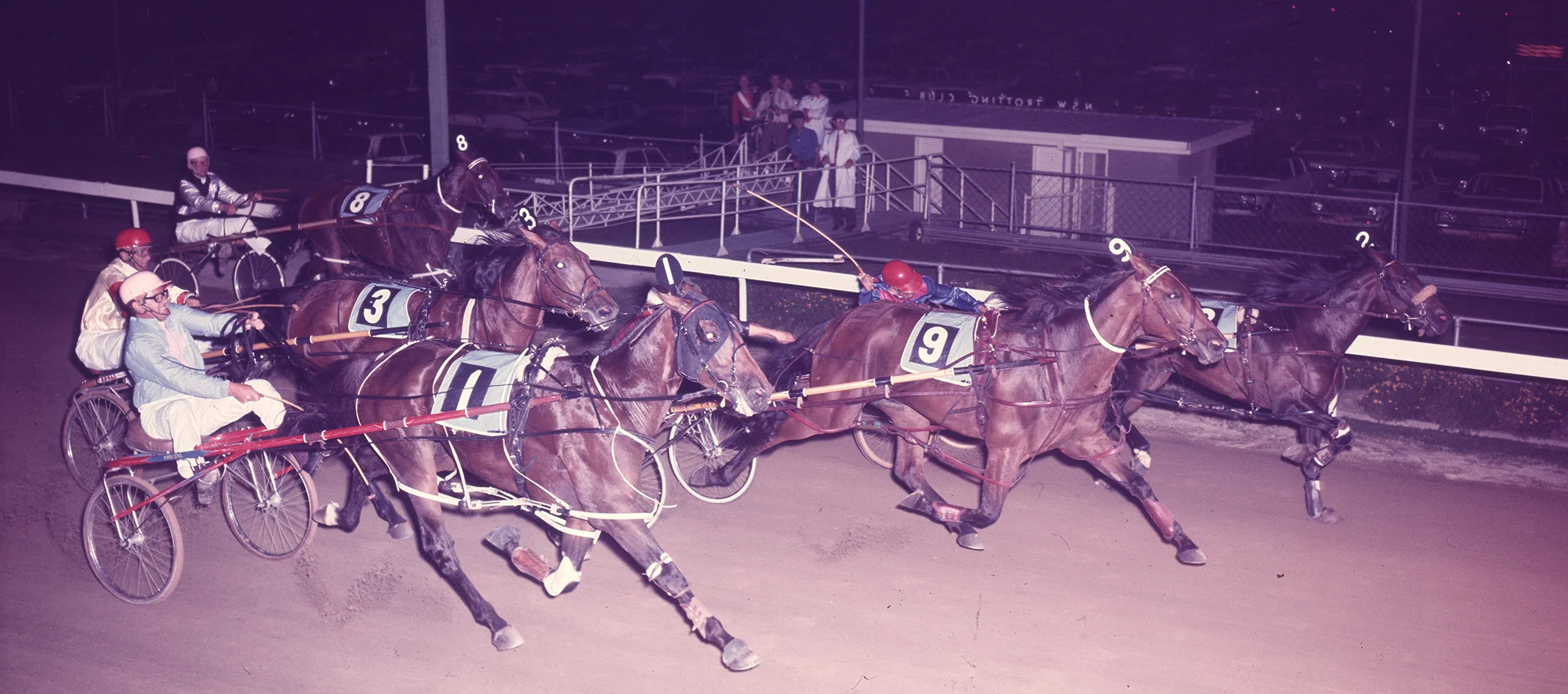 Image courtesy National Trotguide - A thrilling finish in the 1973 Inter Dominion Grand Final.