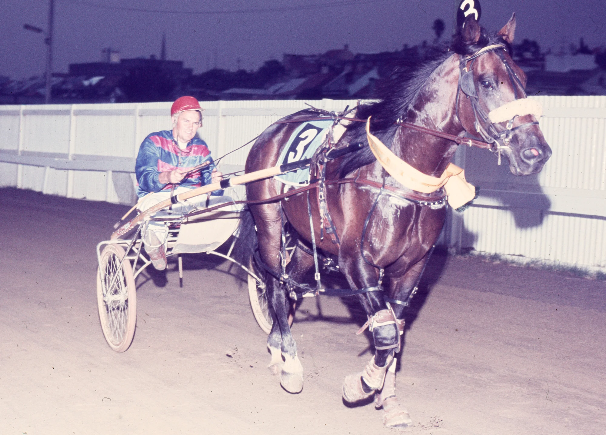 Image courtesy National Trotguide - Hondo after one of three heat wins 1973 Interdom.