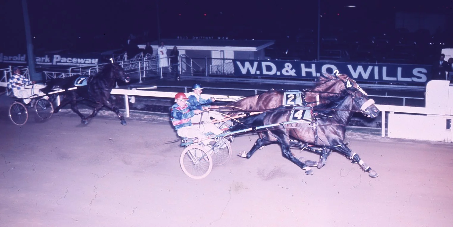 Image courtesy National Trotguide - Hondo knew where the winning post was - Here he sticks his head out to nail Paleface in the 1974 Miracle Mile.