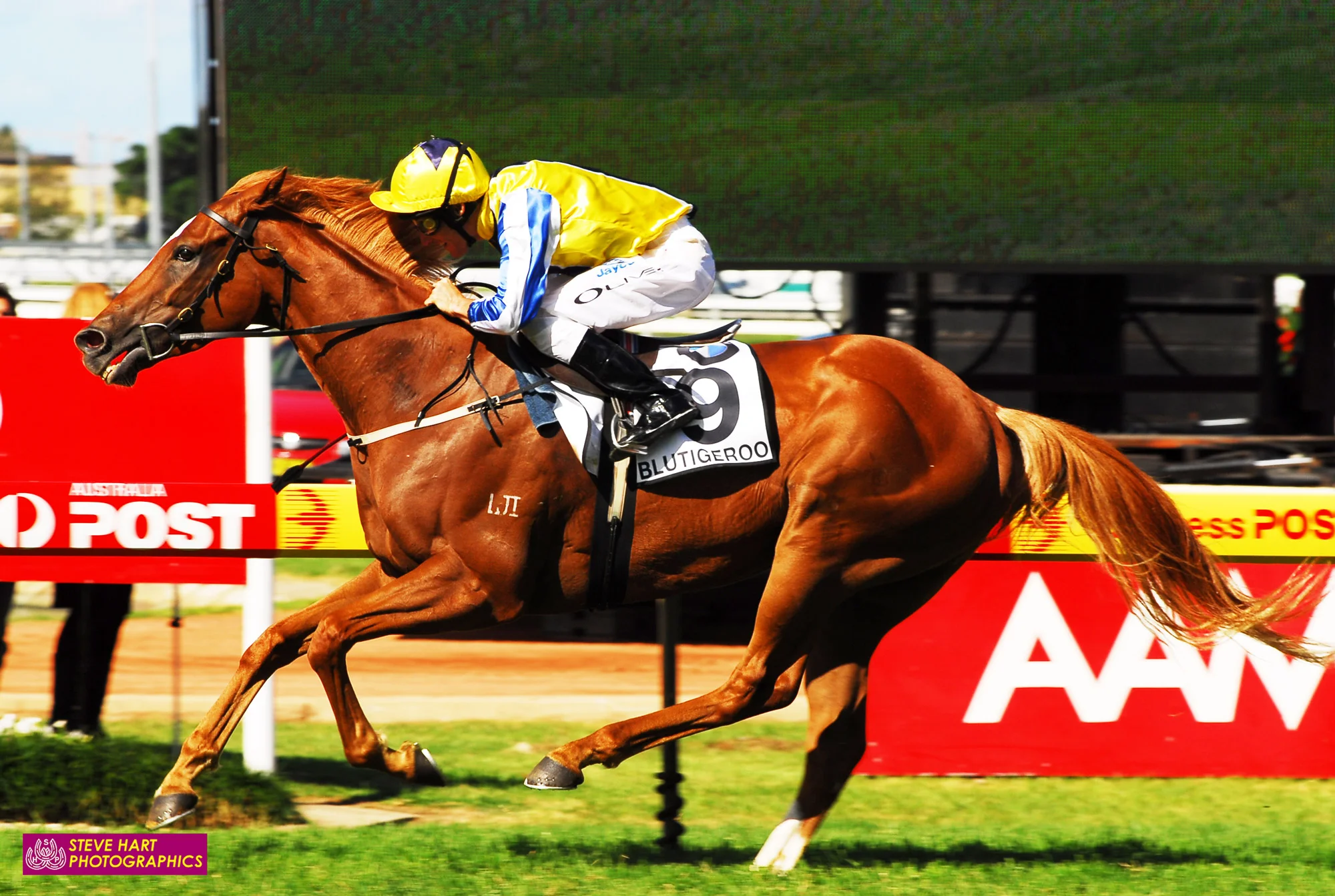 Image courtesy Steve Hart Photographics - Col Little and Damien Oliver team up again to win The BMW with Blutigeroo.