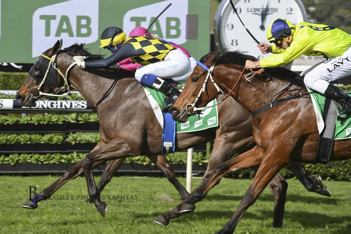 Image courtesy Bradley Photographers - A perfect ride got Gumshoe home in the TAB Highway 22/06/2019.
