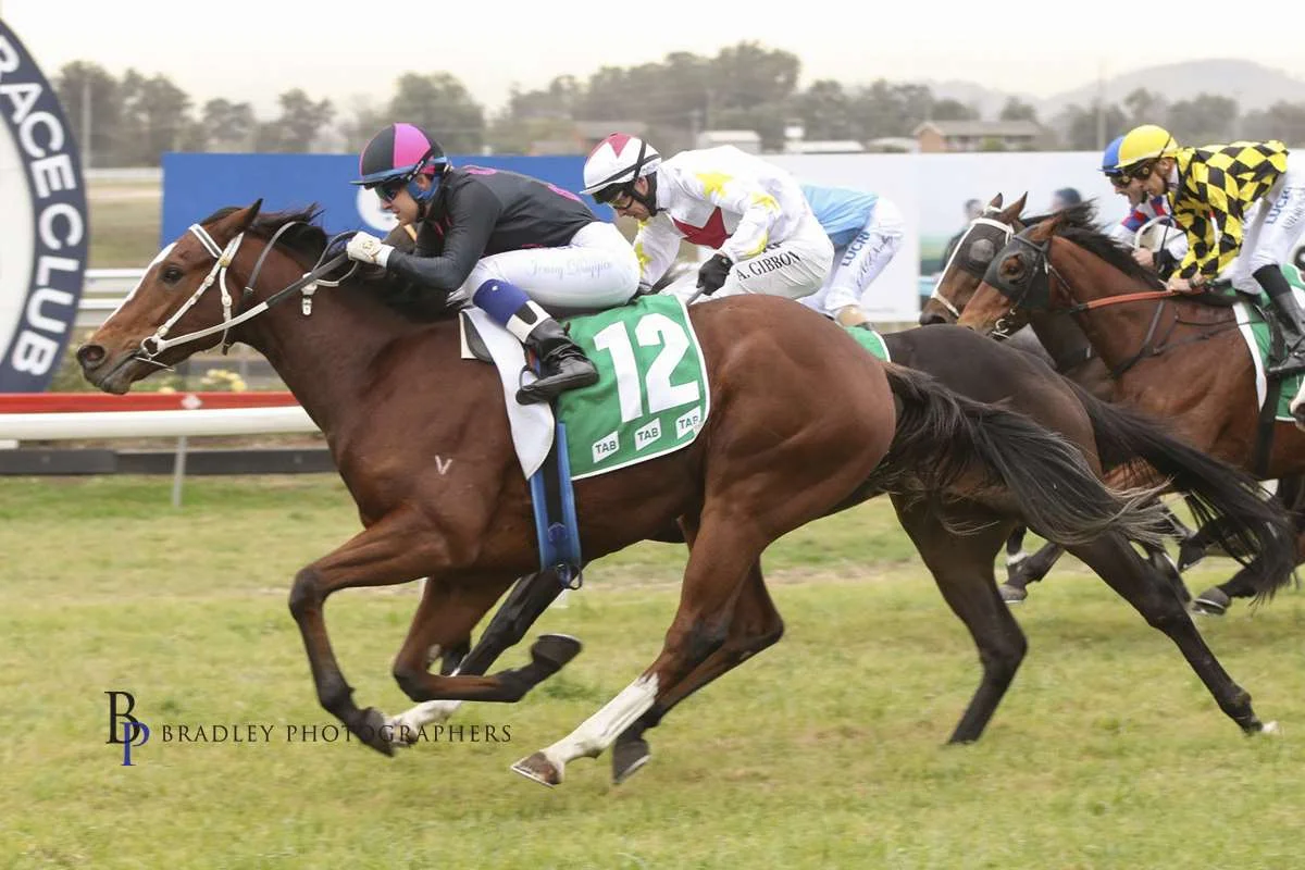 Image courtesy Bradley Photographers - Jenny wins on the lightly raced Boom Gate at Muswellbrook.