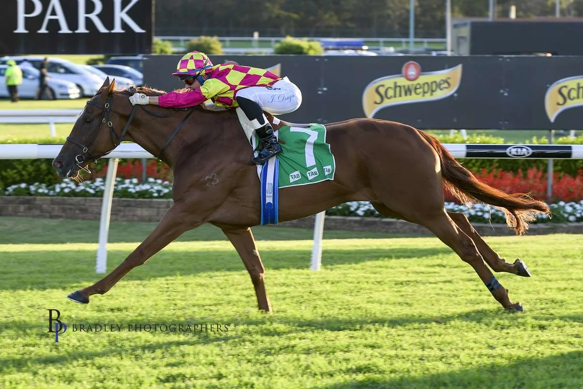 Image courtesy Bradley Photographers - Poetry in Motion - Jenny wins on Seababe Canterbury 15/02/2019.