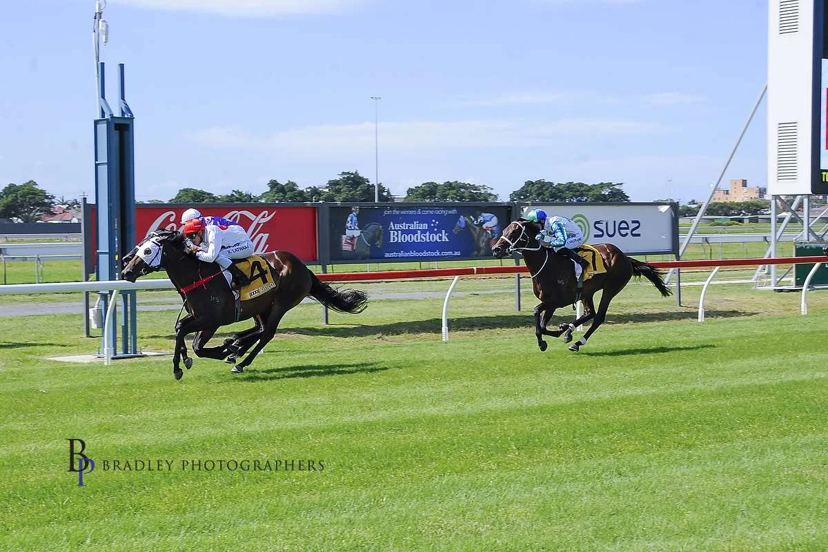 Image courtesy Bradley Photographers - A milestone win for Keagan Latham on Savapinski at Newcastle.