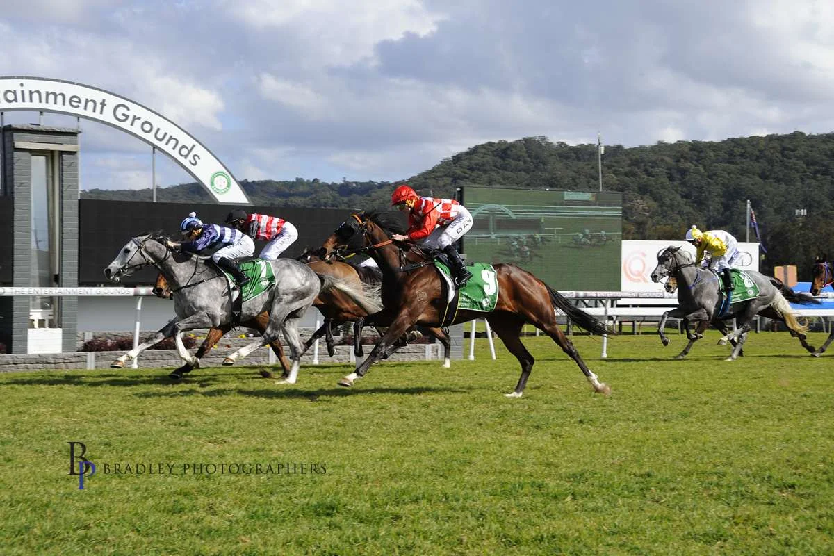 Image courtesy Bradley Photographers - The first of three for Travis Gosford 27/07/2019 Switching To Win in the colours of five time Group 1 winner Racing To Win.