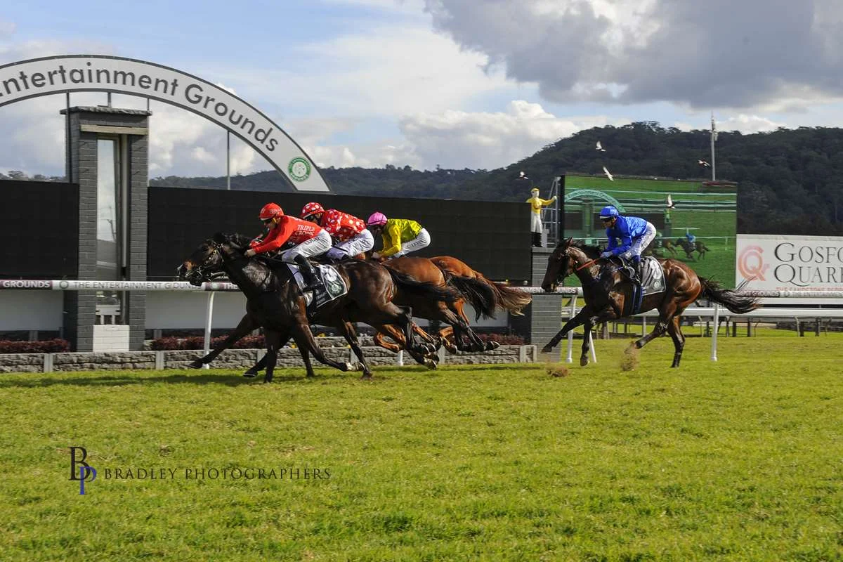 Image courtesy Bradley Photographers - Travis makes it a treble for Team Snowdon on Invincible Dash Gosford 27/07/2019.