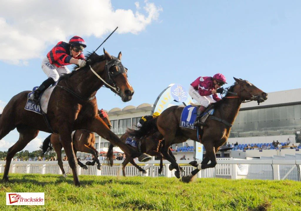 Image courtesy Trackside Photography - Cyril gets Dubai Gee Eye home narrowly on the Gold Coast 2014.