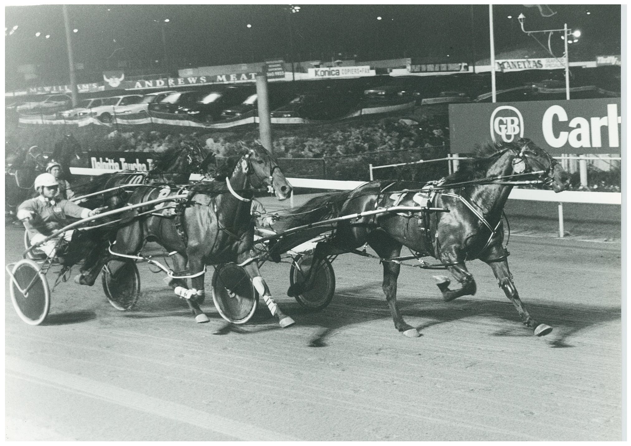 Image courtesy National Trotguide - Bastille Beggar in one of his numerous Harold Park wins. In this one he defeated Rainbow Knight (Darren Binskin).