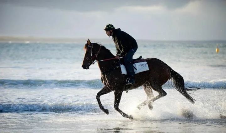 Daniel loves nothing more than riding one beach work himself required.