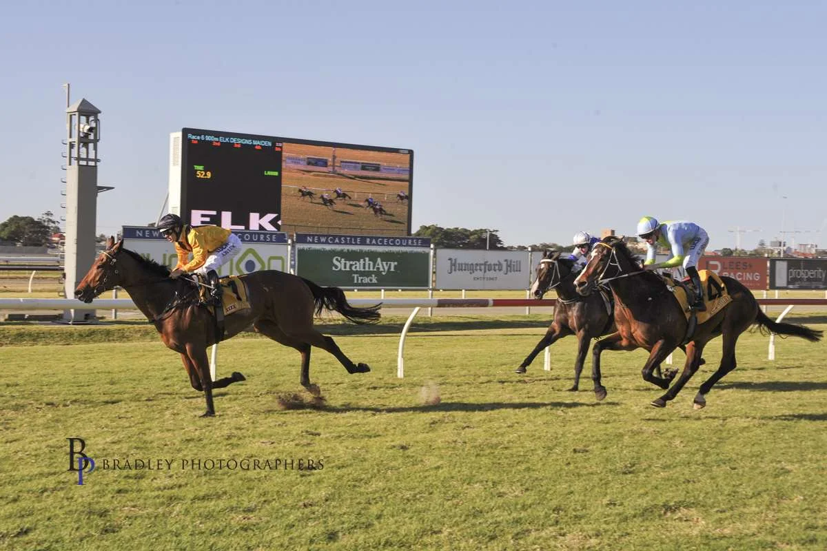 Image courtesy Bradley Photographers - Calipari was Mark's first NSW runner, Newcastle 24/08/2019.