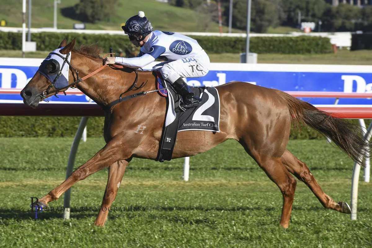 Image courtesy Bradley Photographers - Samadoubt never looked like losing the Chelmsford Stakes.