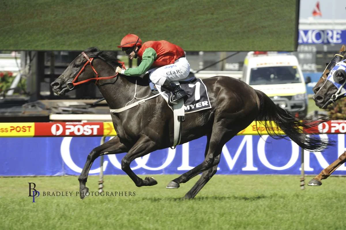 Image courtesy Bradley Photographers - Tim in one of his fourteen wins on his all time favourite, Hot Danish.