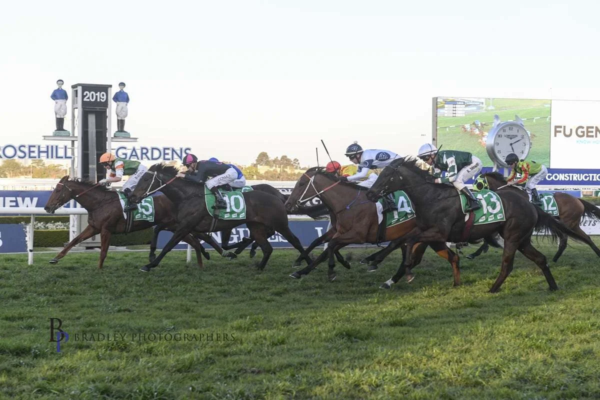 Image courtesy Bradley Photographers - Spanish Dream was on her best behaviour all day at Rosehill. She beat off several challenges to win the last race.