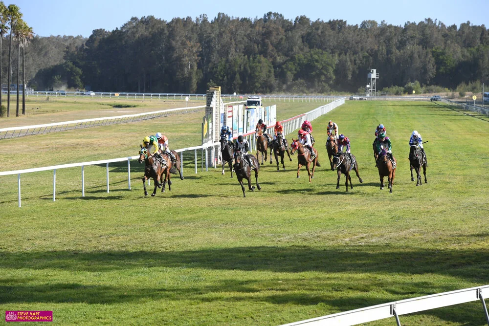 Image courtesy Steve Hart Photographics - Just past the post as Up The Stairs wins for local trainer Terry Evans. Note the 400M home straight.