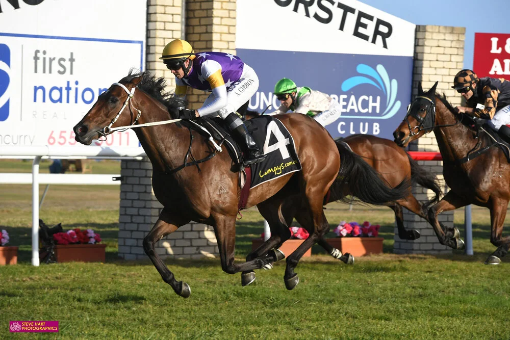 Image courtesy Steve Hart Photographics - Lady Evelyn (Andrew Gibbons) wins the Tuncurry-Forster Gold Cup.
