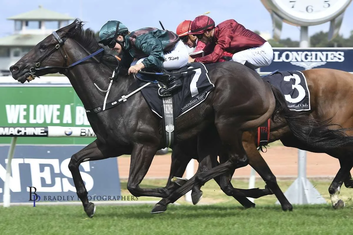 Image courtesy Bradley Photographers - Rachel wins on one of her favourites Lanciato at Rosehill 27/01/2018.