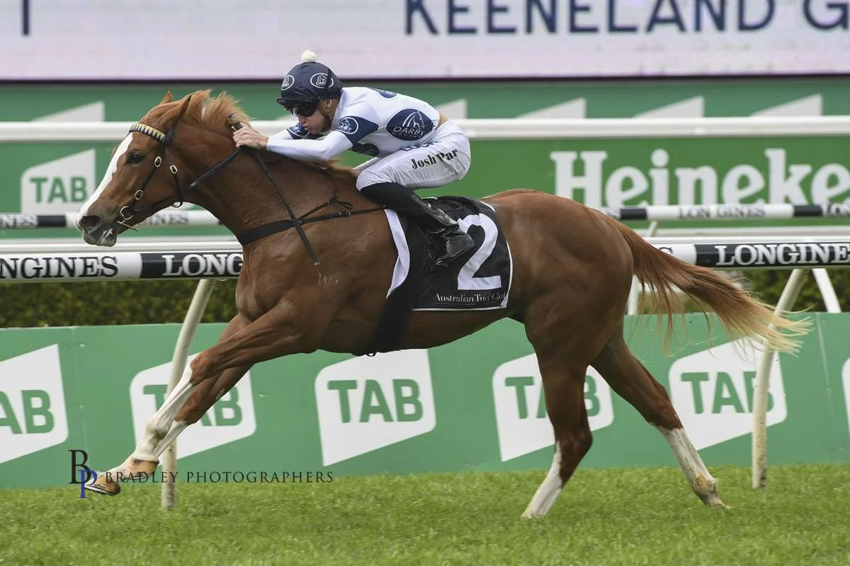 Image courtesy Bradley Photographers - This is about as close as you'll get to poetry in motion. Every Rose and Josh Parr combine to win the Gimcrack.