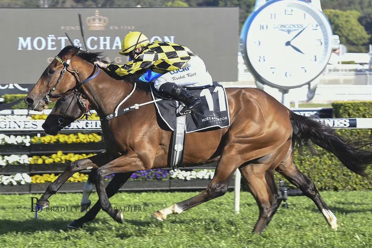 Image courtesy Bradley Photographers - Maid Of Heaven gives Mark and Rachel King their first Group 1 win.