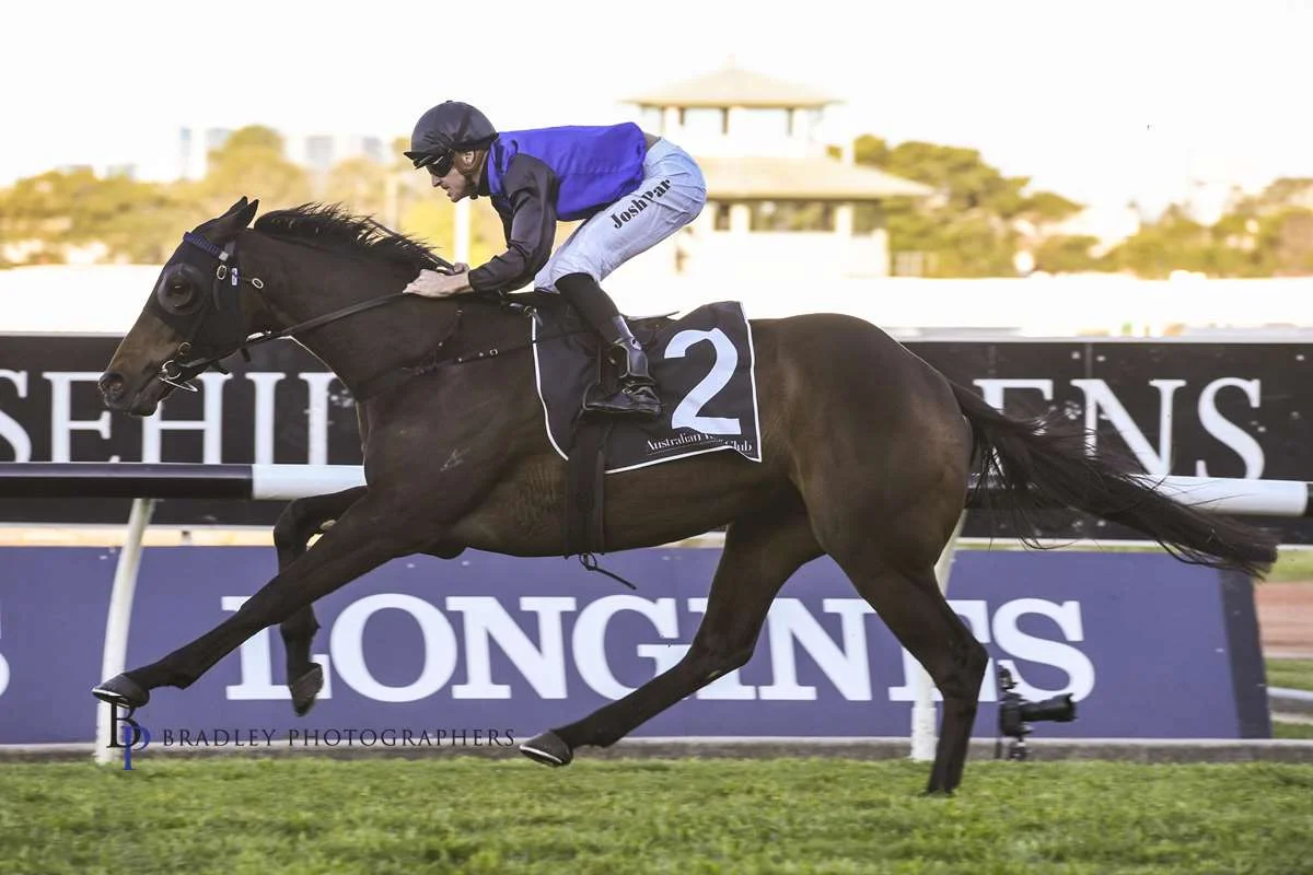 Image courtesy Bradley Photographers - Shadow Hero has emerged as a true staying prospect. Here he is winning the Gloaming Stakes 28/09/2019.