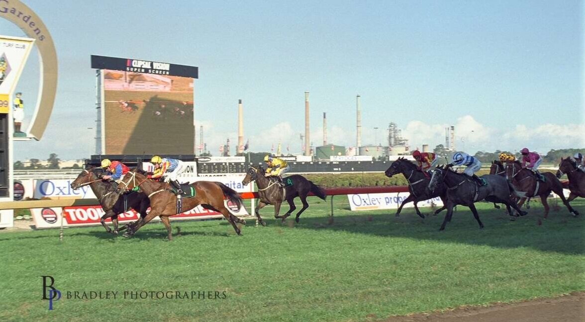 Image courtesy Bradley Photographers - Here’s an oldie! Jim wins the Theo Marks Quality on his old favourite Adam 11/09/1999. Runner up was Sunline.