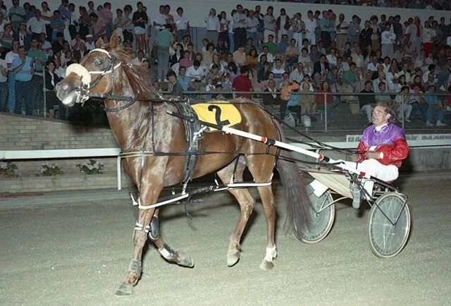 We acknowledge the amazing harness racing career of 93 year old Colin Watts who received an OAM in the recent Queen&rsquo;s Birthday honours. Never has such an honour gone to a more worthy recipient. Colin trained and drove &lsquo;em for 50 years. Hi