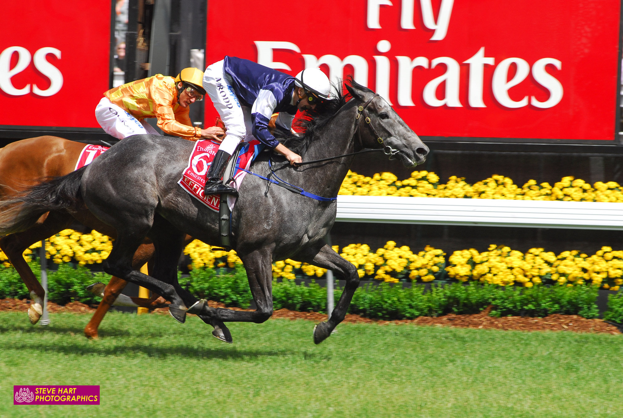 Efficient produced a whirlwind finish to beat Purple Moon in the 2007 Melbourne Cup - courtesy Steve Hart Photographics.