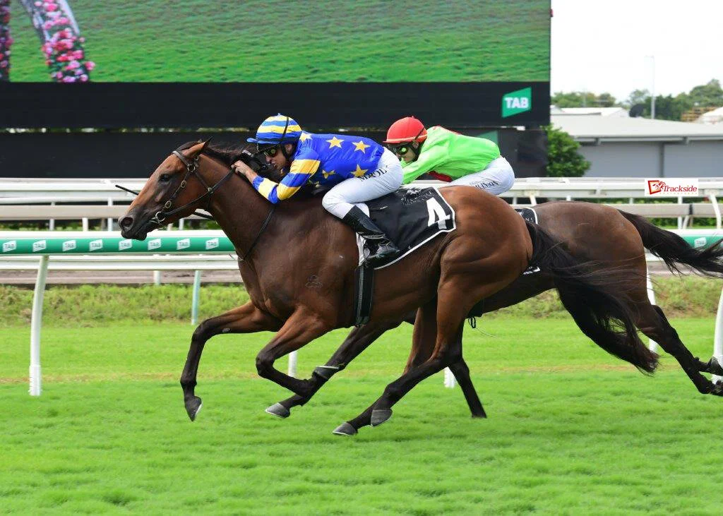 MICHAEL RODD IS LOVING LIFE BACK WHERE HE STARTED IN QUEENSLAND