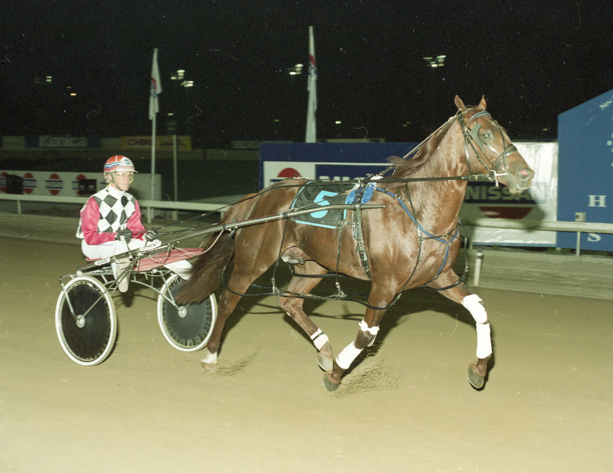 BRUCE MORGAN PROVED YOU SHOULD NEVER LOOK A GIFT HORSE IN THE MOUTH!