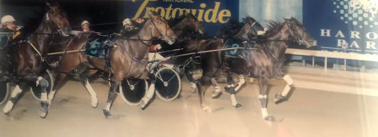 Denver Gift overcame a tough run to beat Laneway and Mon Poppy Day in the 1996 NSW Derby - courtesy Club Menangle.