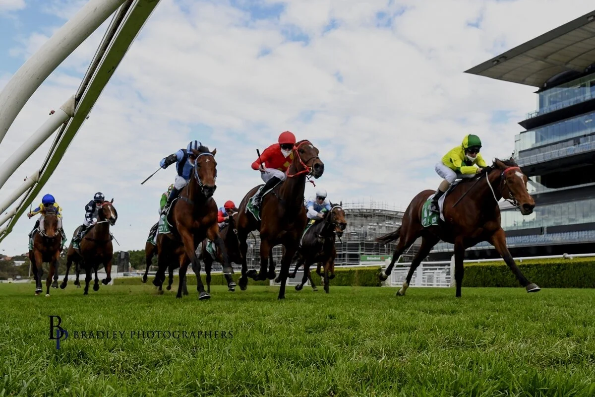 MITCHELL BEER RUNS A HAPPY STABLE!