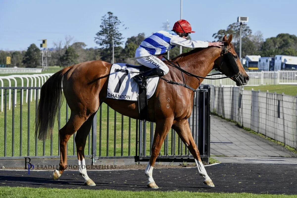 JOHN THOMPSON’S FLUCTUATING FORTUNES