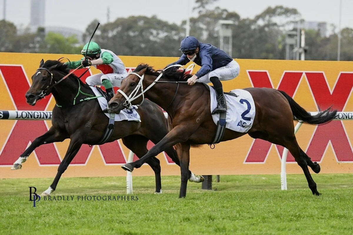 IT’S ALL AHEAD OF TALENTED PROFONDO!