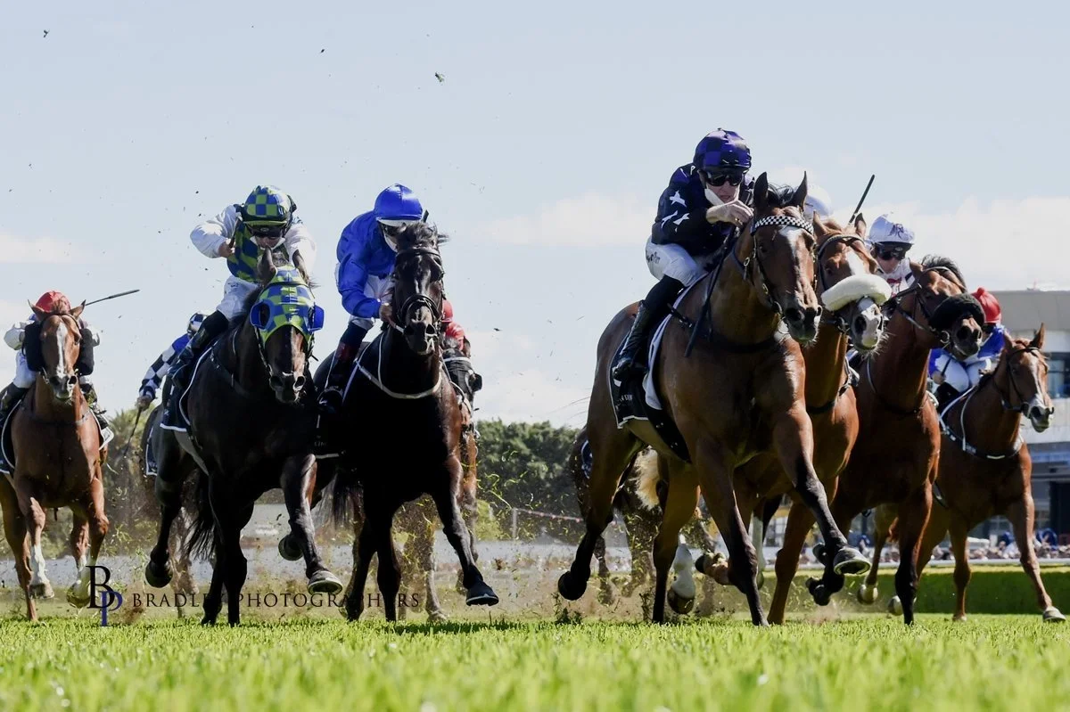 BIG PARADE - A CUT ABOVE THE REST IN THE SYDNEY STAKES