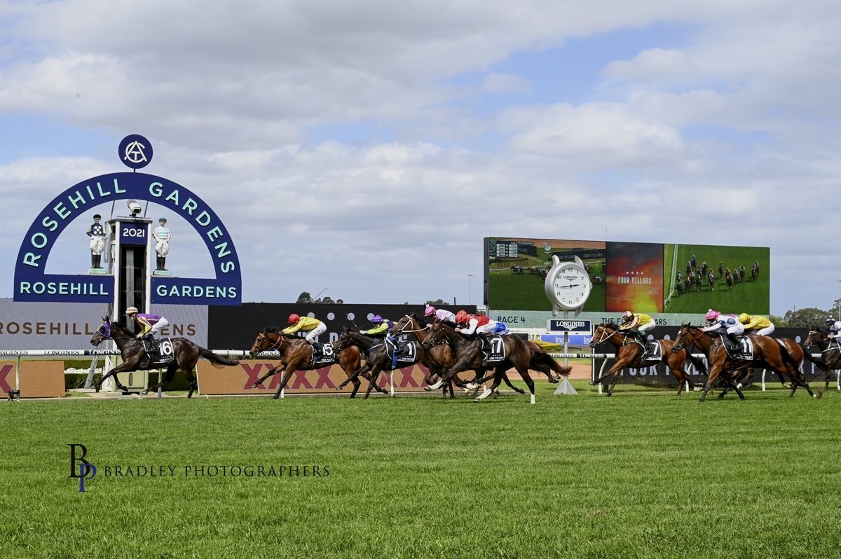 TRACEY BARTLEY’S PILLAR OF JOY!