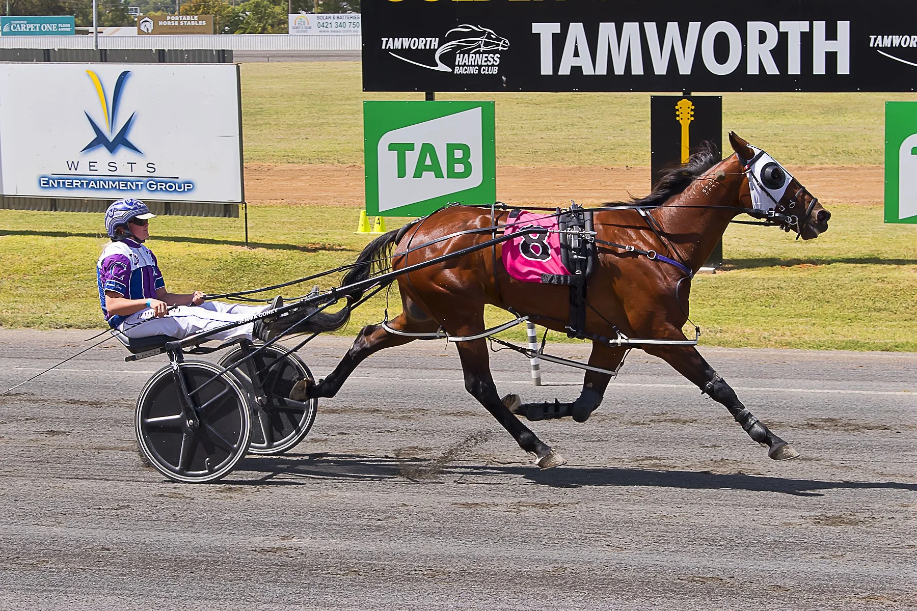 GREG CONEY LIKED TAMWORTH THE FIRST TIME HE SET FOOT IN THE PLACE.