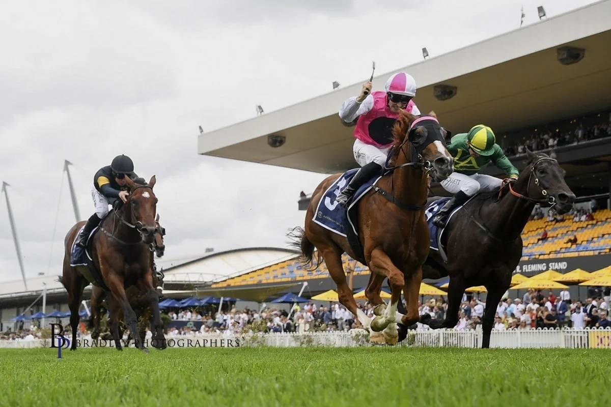 EXPAT - FROM AN UNCERTAIN FUTURE TO THE COOLMORE CLASSIC IN FOURTEEN MONTHS