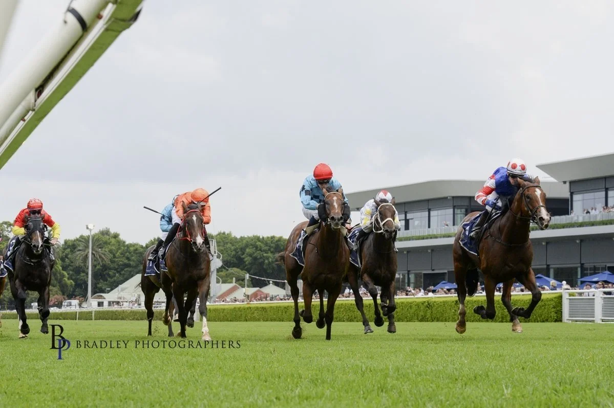 PORTELLI’S TWO PRONGED SLIPPER QUEST WITH THE SALE RING COLT AND THE HOMEBRED FILLY