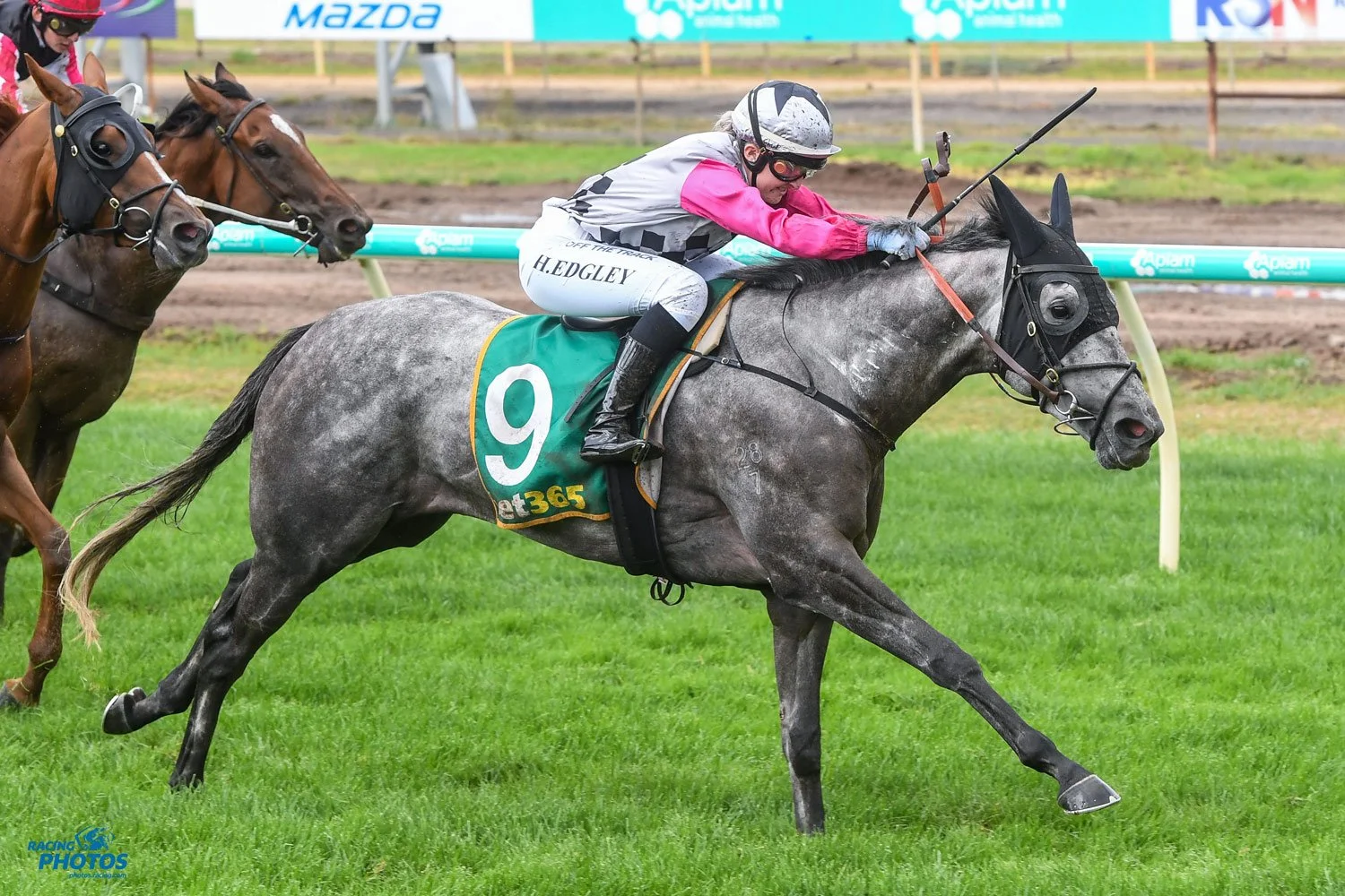 HYGAIN/MITAVITE COUNTRY TRAINER OF THE MONTH MARCH 2022