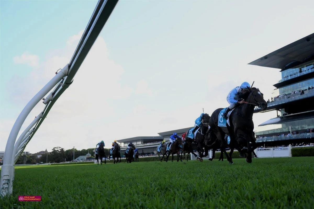 MATTHEW SMITH GETS HIS HOMETOWN GROUP 1 AT LAST!