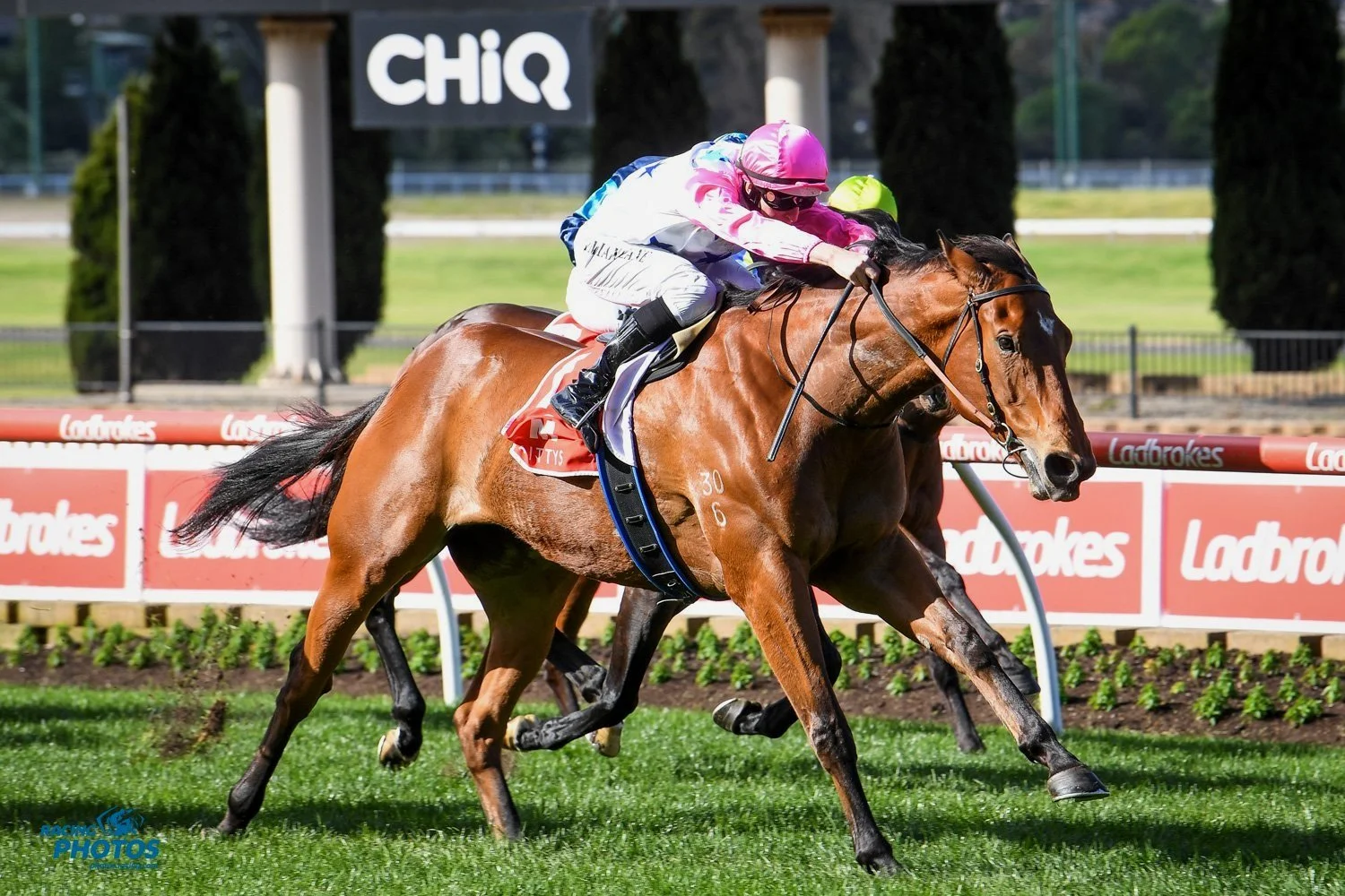 Episode 369: Tappy chats with Cliff Brown