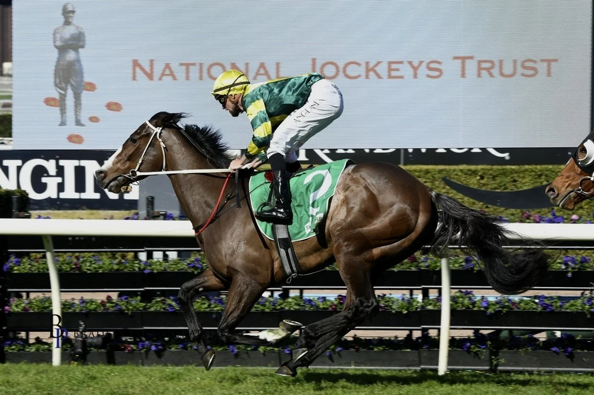 Episode 384:  Tappy chats with Matt Dunn