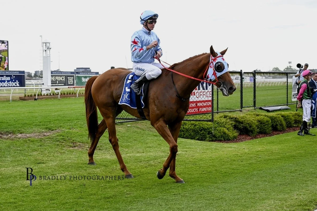 COAL CRUSHER KNOWS HOW TO WIN