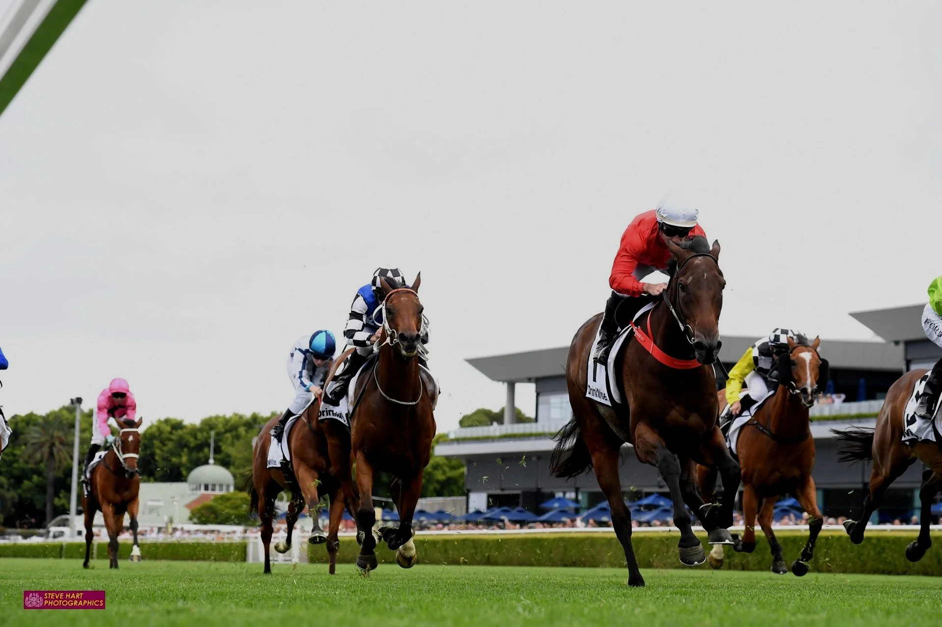 JOJO WAS A MAN GETS BACK TO THE RANDWICK WINNER’S CIRCLE FOR THE SECOND TIME IN A WEEK