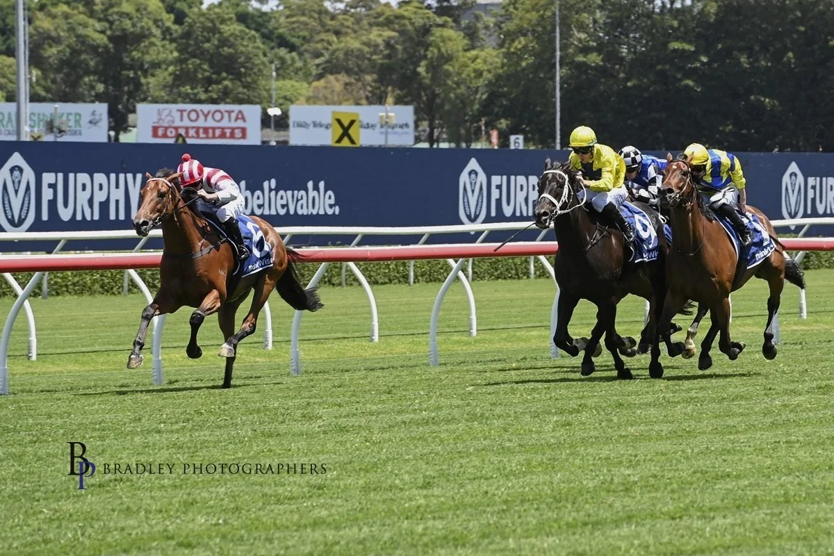 BROCK RYAN - A JOCKEY FLYING UNDER THE RADAR