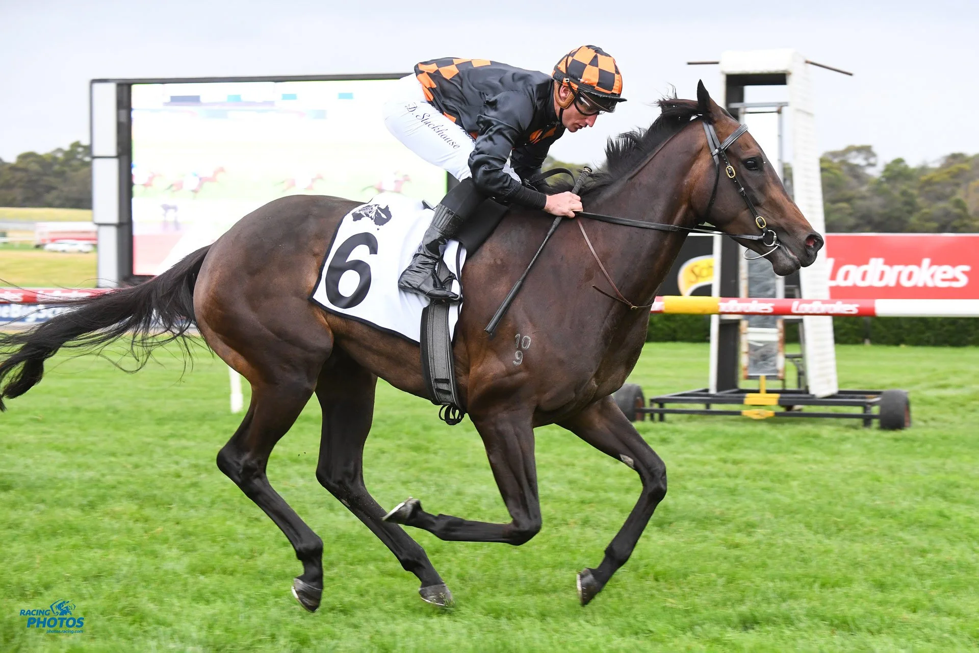 Episode 405:  Tappy chats with Jason Warren