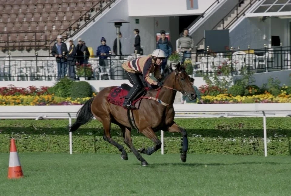 Episode 410:  Tappy chats with Claire Bird