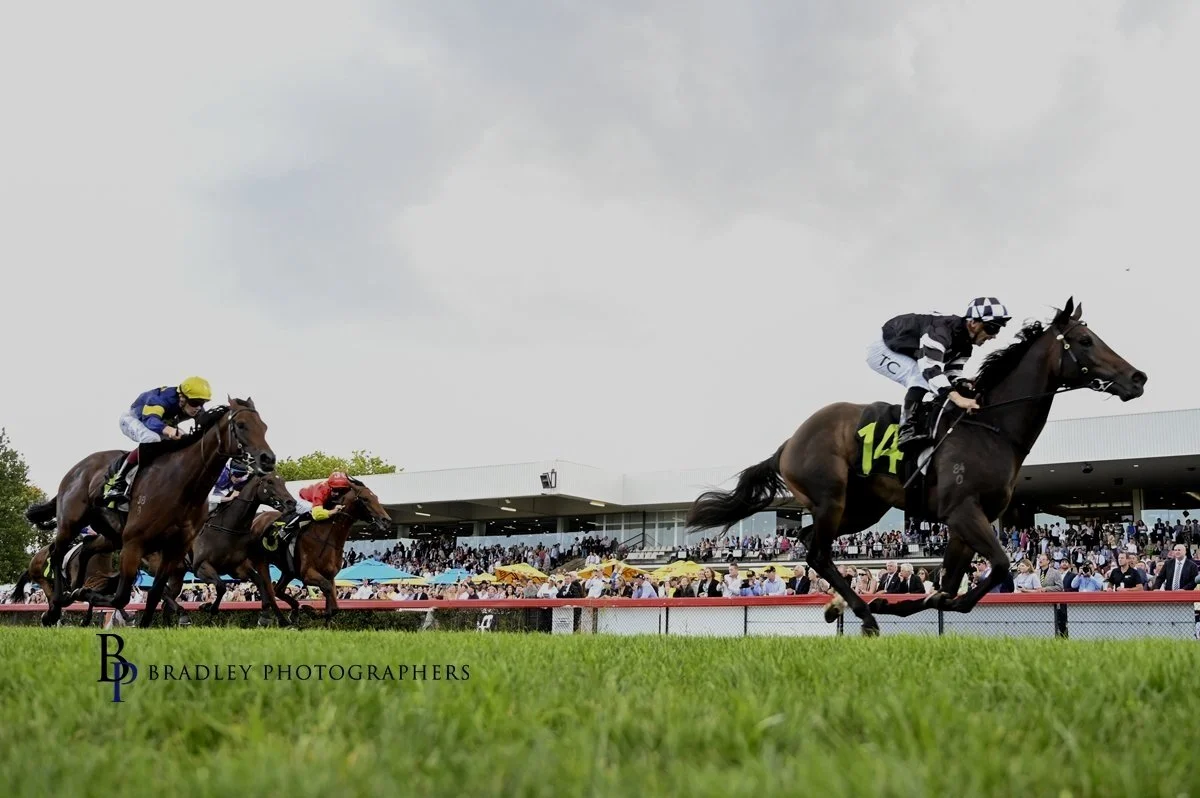 BLACK OPAL STILL SPARKLING AFTER HALF A CENTURY